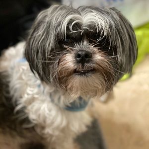 Meet your Posher, Alicia